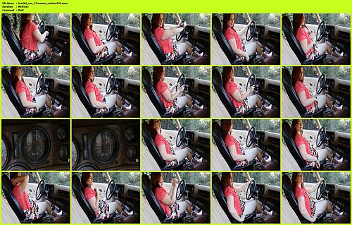 Scarlet_rev_77camaro_custom552.jpg