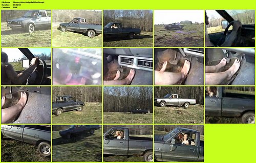 Stormy drive dodge fieldfun hi.jpg