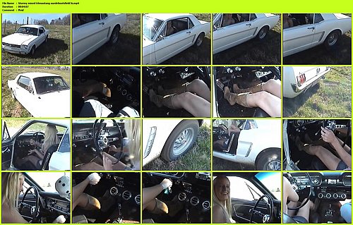 Stormy mixed 64mustang suedebootsfield hi.jpg