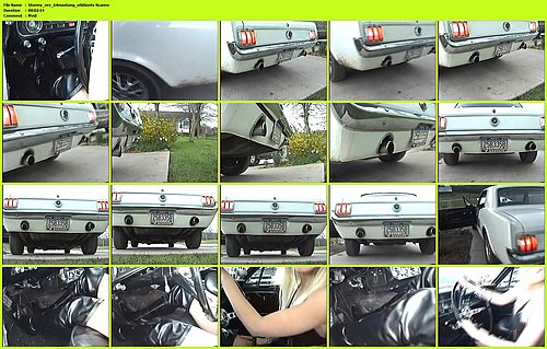 Stormy_rev_64mustang_otkboots-hi.jpg